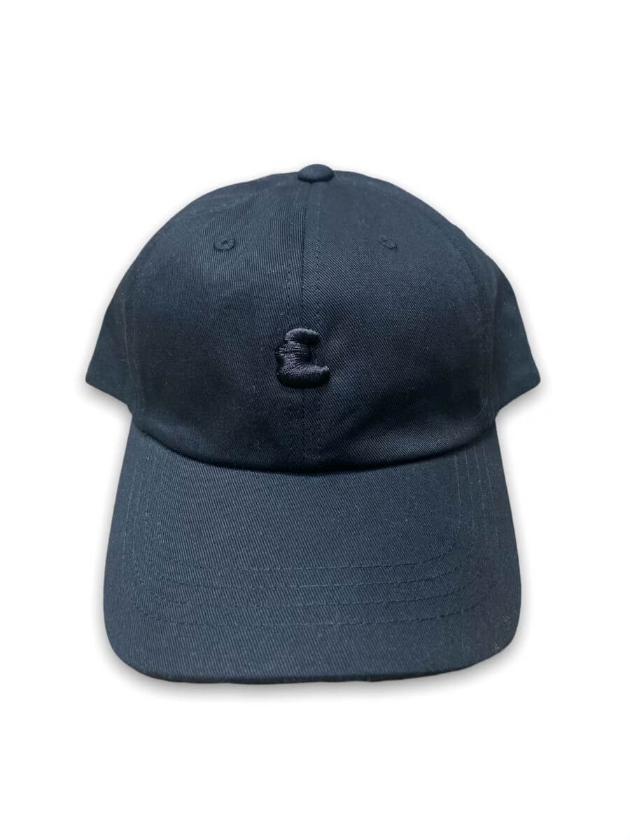 Ethics Dad Hat